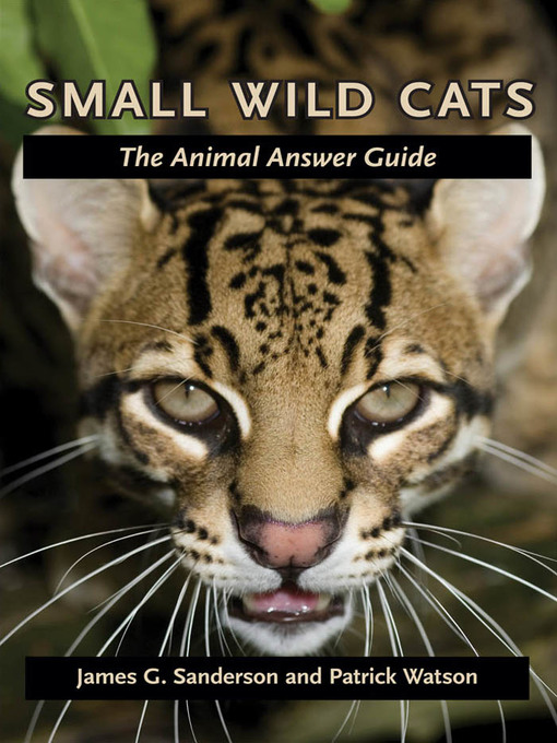 Title details for Small Wild Cats by James G. Sanderson - Available